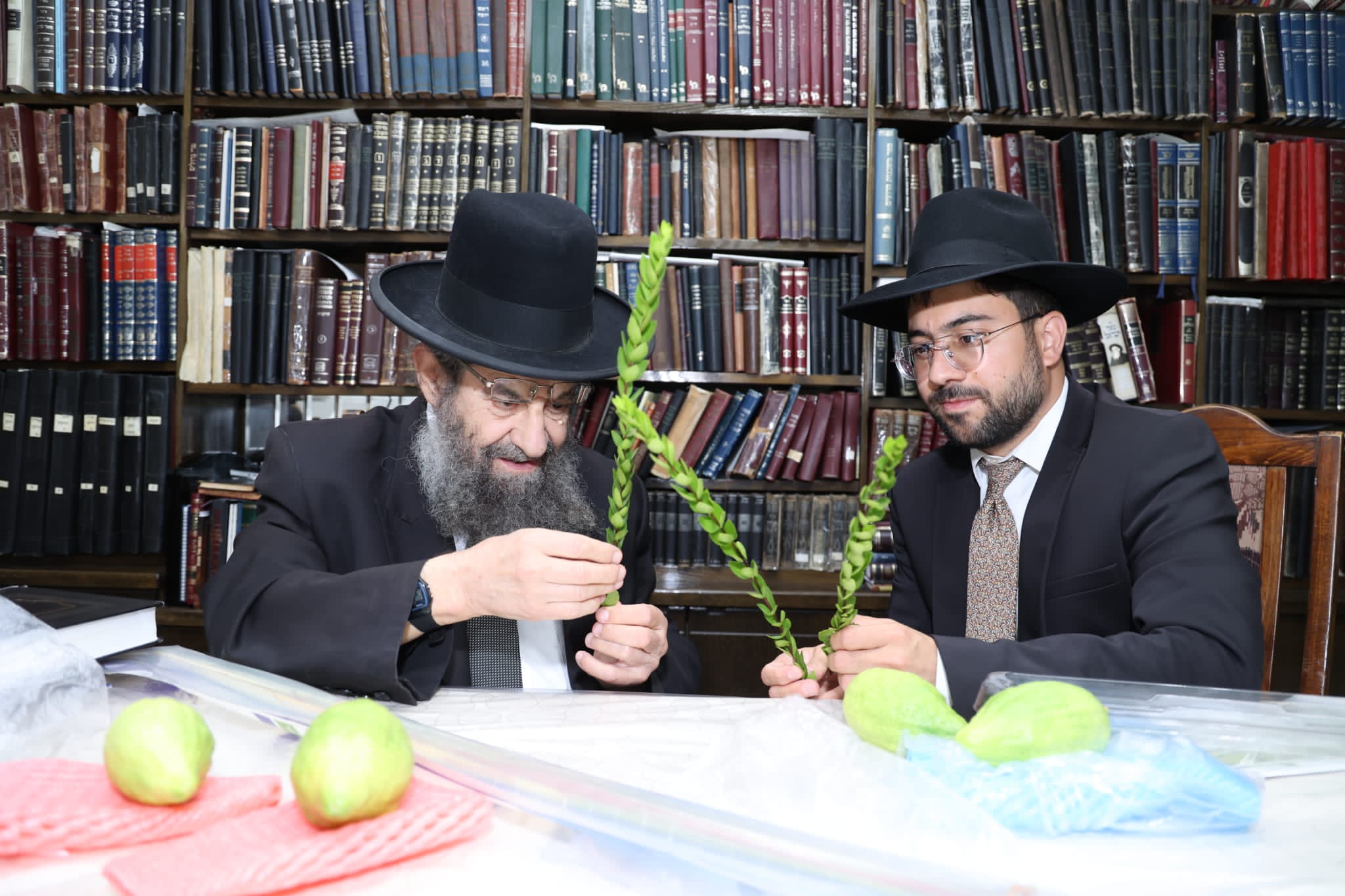 מחיל אל חיל: חברי המועצת וגדולי ישראל בחרו ארבעת המינים