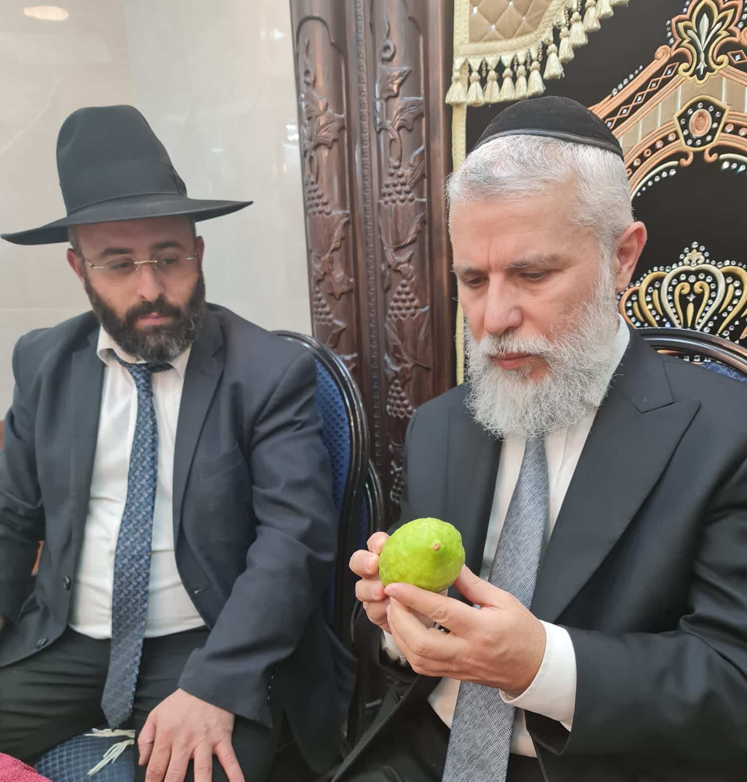 מחיל אל חיל: חברי המועצת וגדולי ישראל בחרו ארבעת המינים