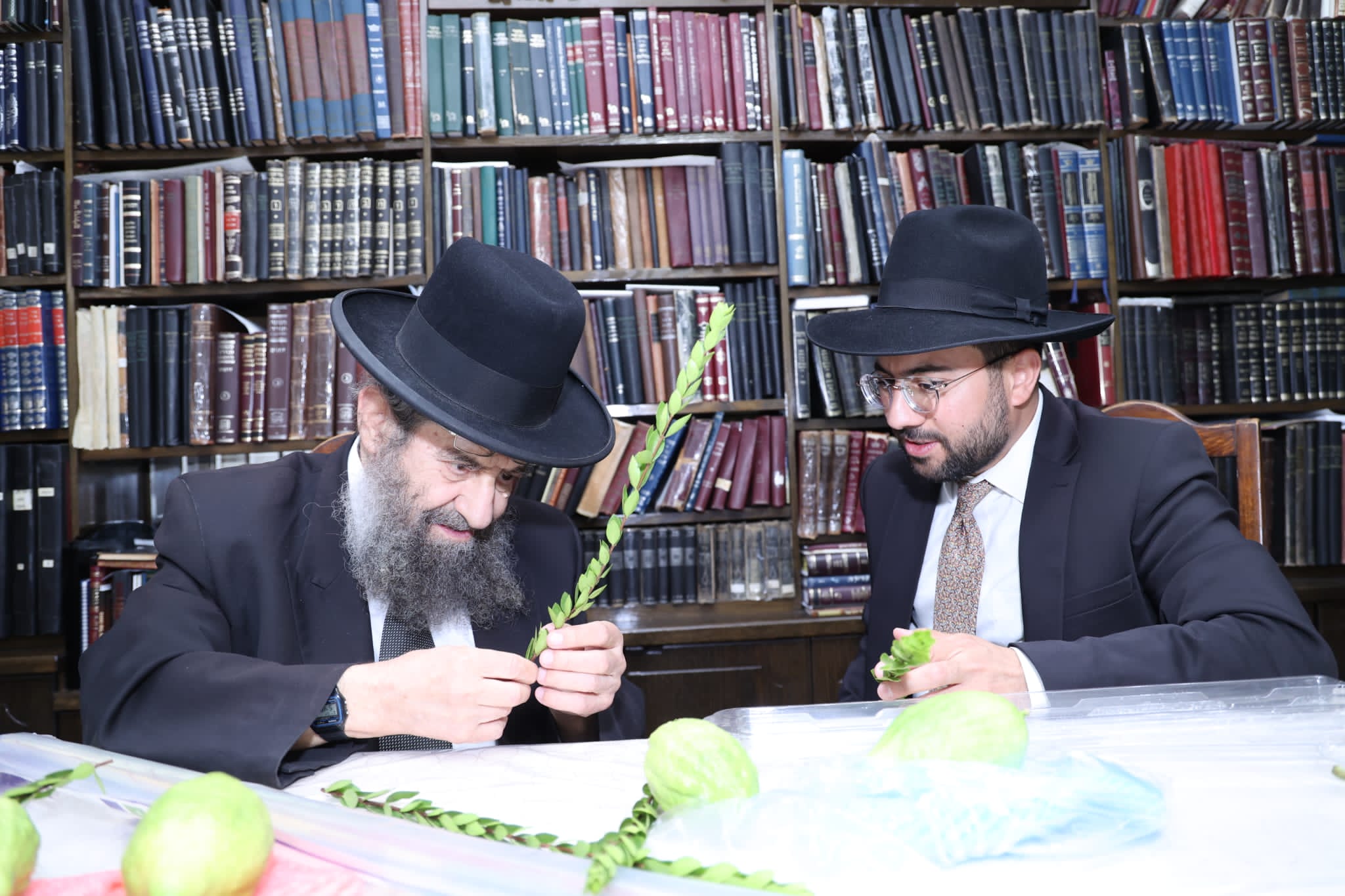 מחיל אל חיל: חברי המועצת וגדולי ישראל בחרו ארבעת המינים