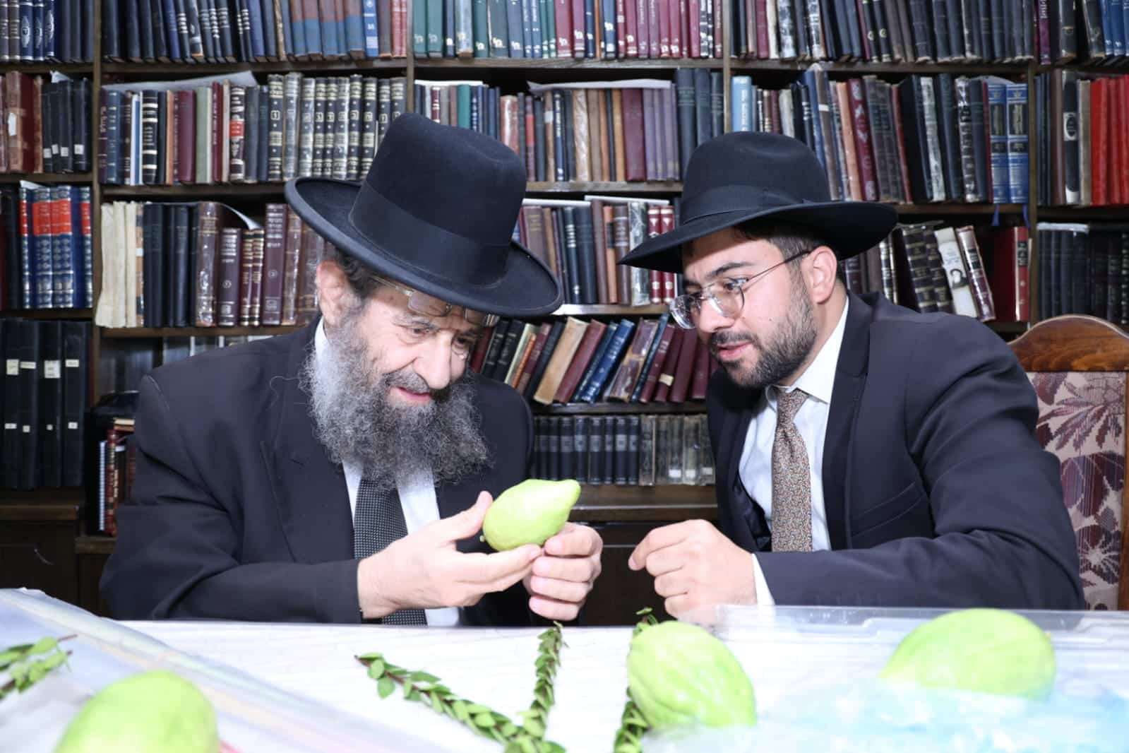 מחיל אל חיל: חברי המועצת וגדולי ישראל בחרו ארבעת המינים