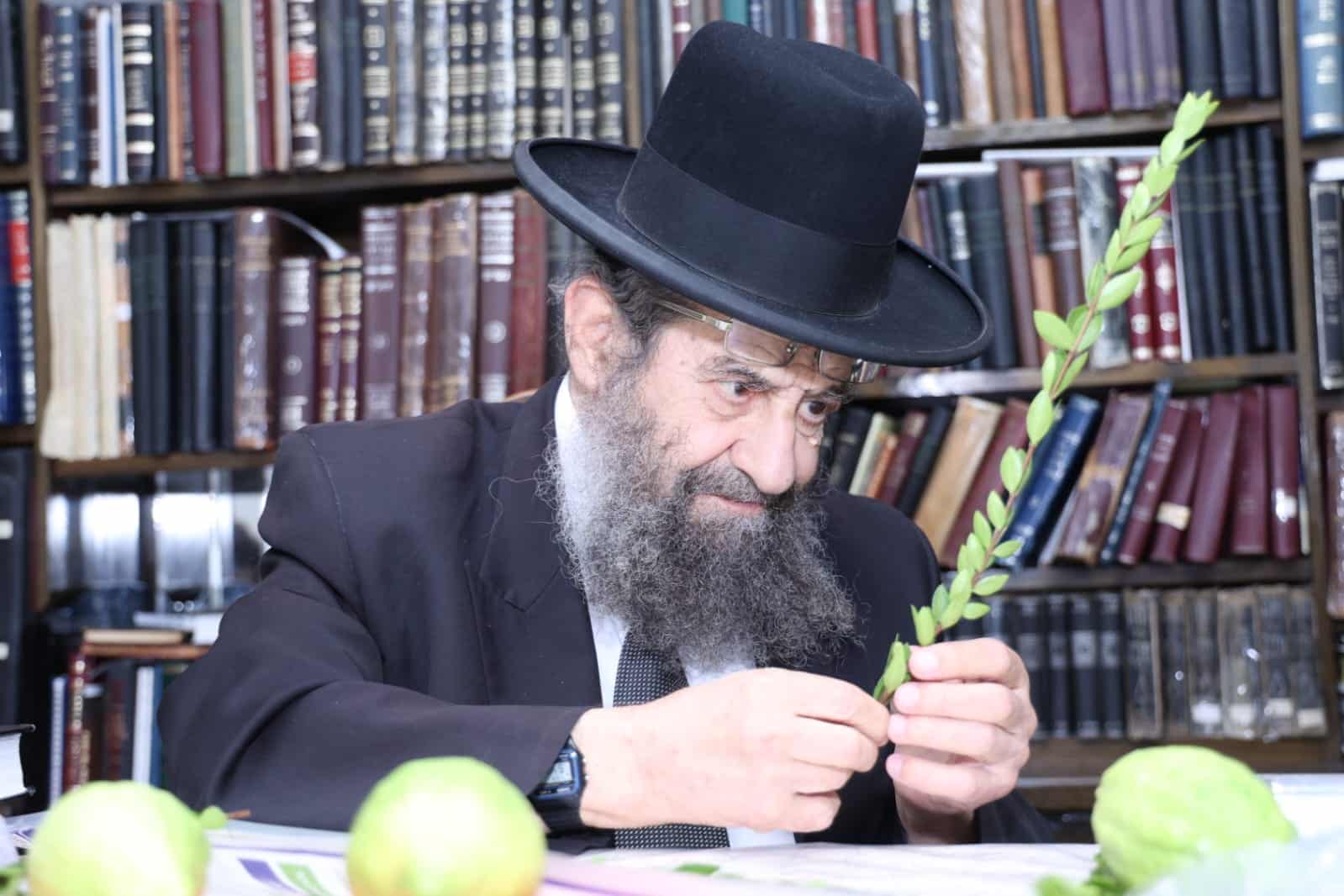 מחיל אל חיל: חברי המועצת וגדולי ישראל בחרו ארבעת המינים