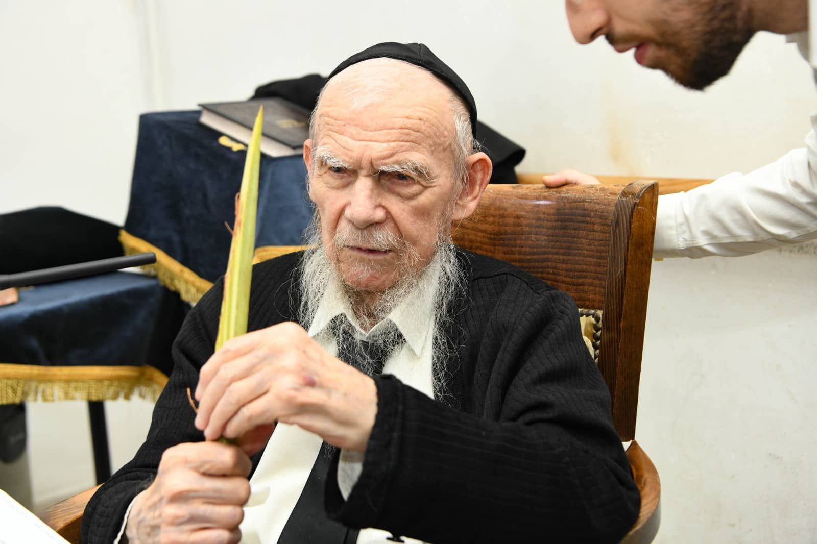 תיעוד: מרן רשכבה"ג הגרי"ג אדלשטיין בקבלת 'בריסקע לולב'  