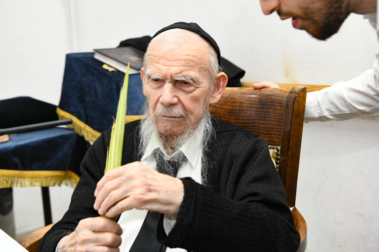תיעוד: מרן רשכבה"ג הגרי"ג אדלשטיין בקבלת 'בריסקע לולב'  
