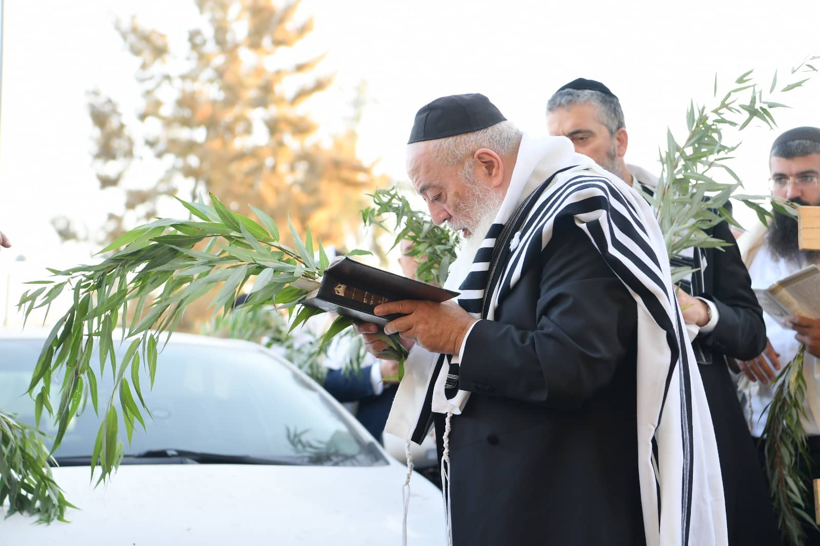 הושענא רבה אצל הגאון רבי שלמה עמאר • תיעוד