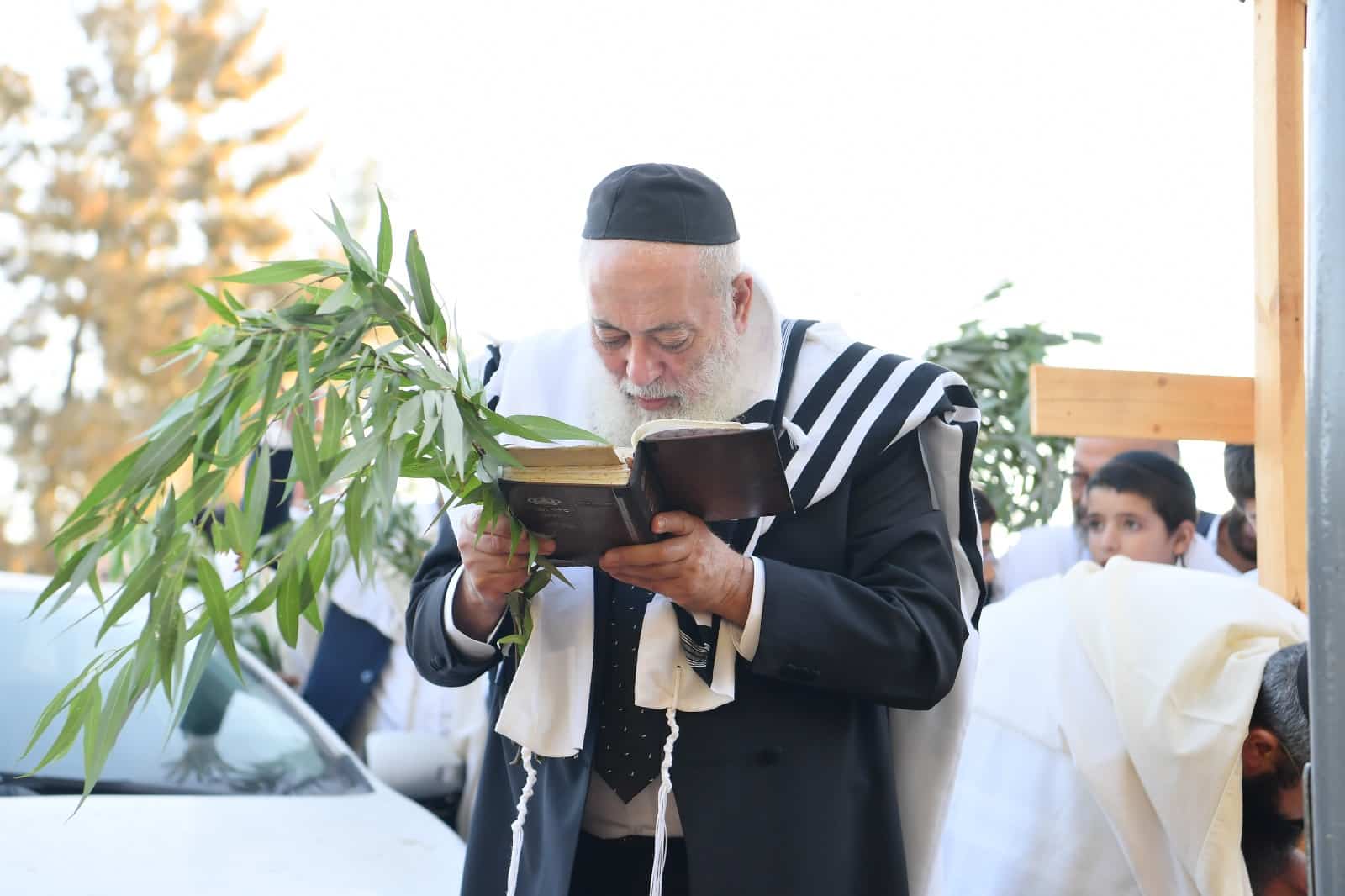 הושענא רבה אצל הגאון רבי שלמה עמאר • תיעוד