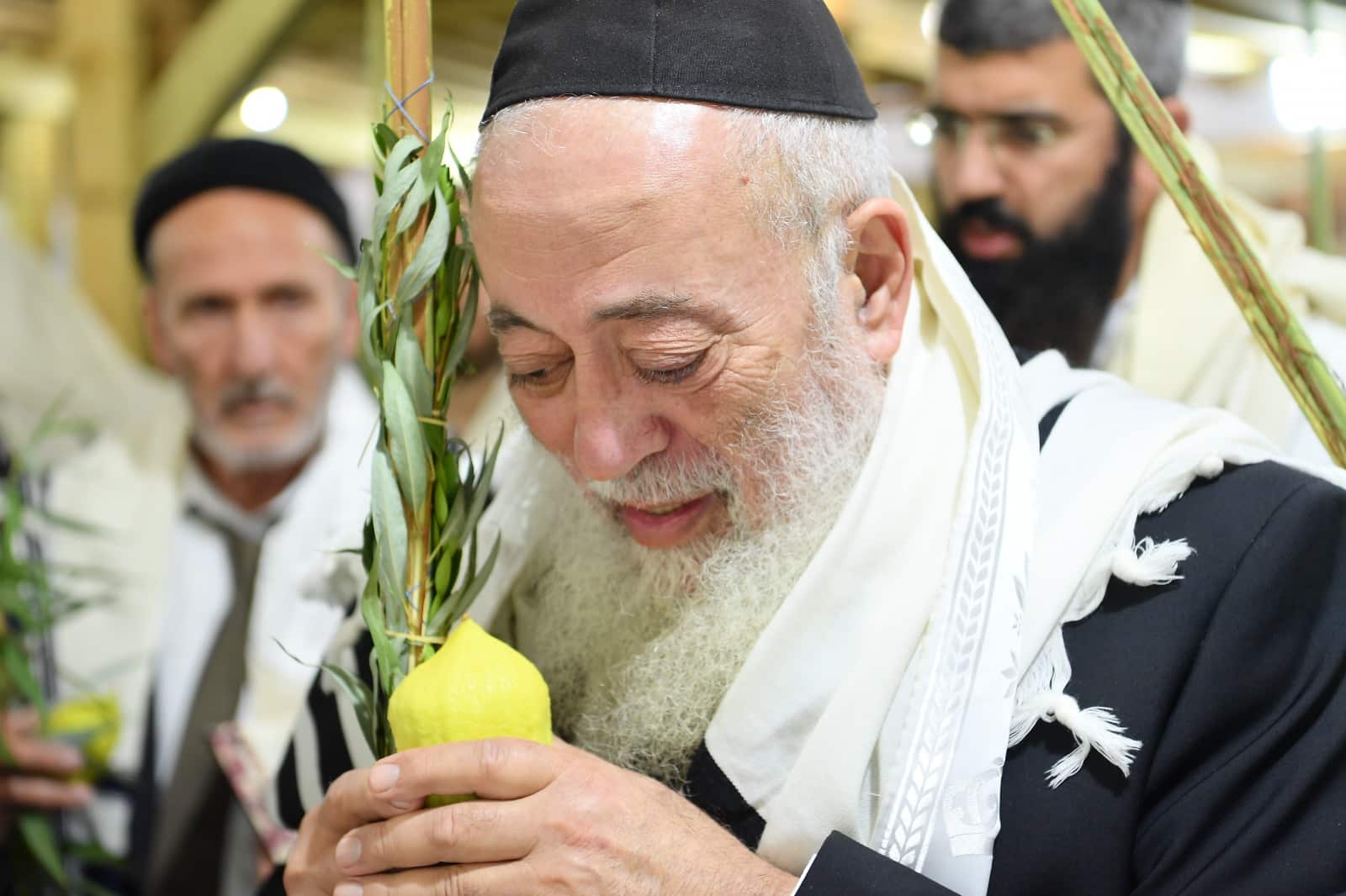 הושענא רבה אצל הגאון רבי שלמה עמאר • תיעוד