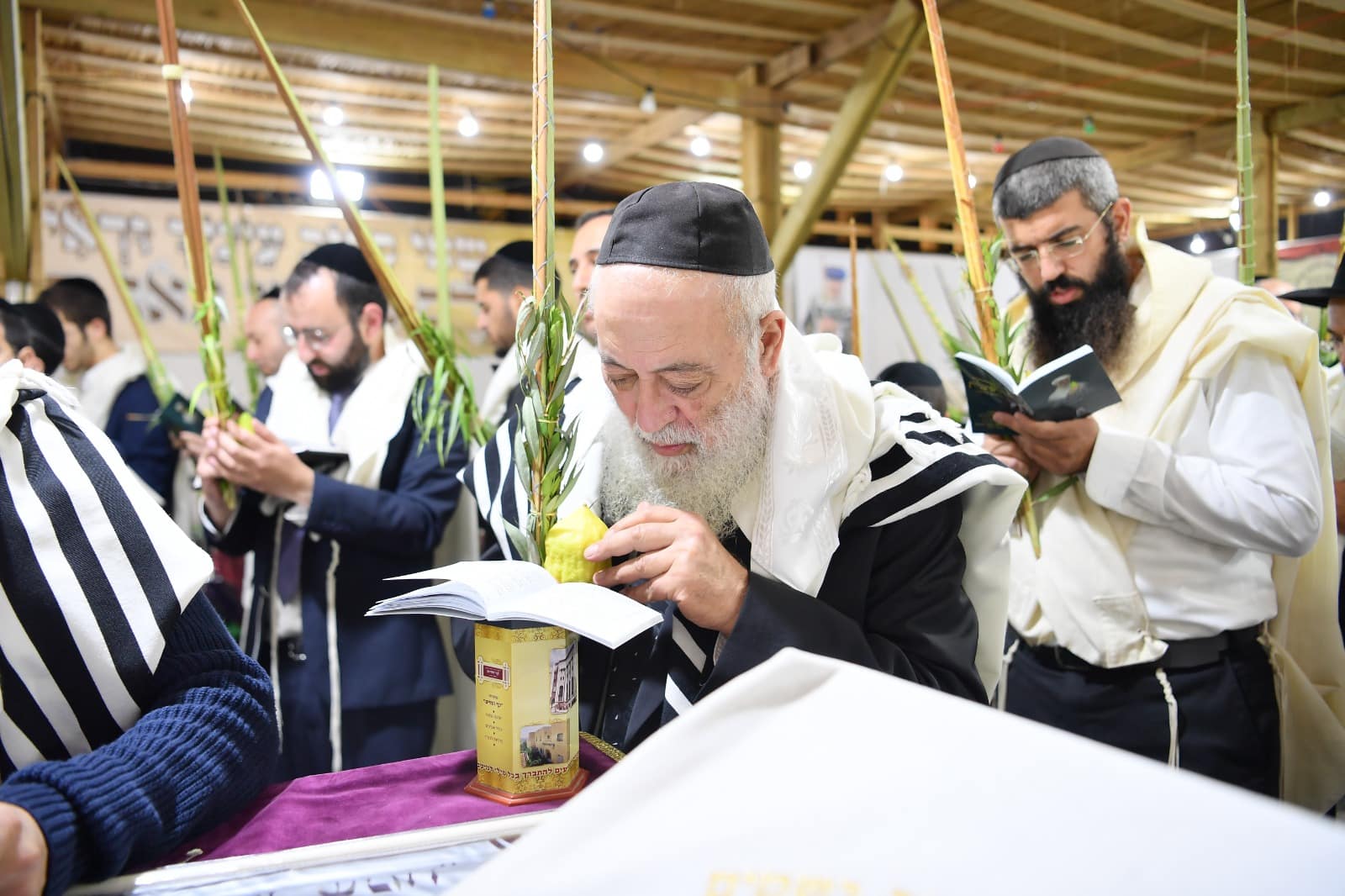 הושענא רבה אצל הגאון רבי שלמה עמאר • תיעוד