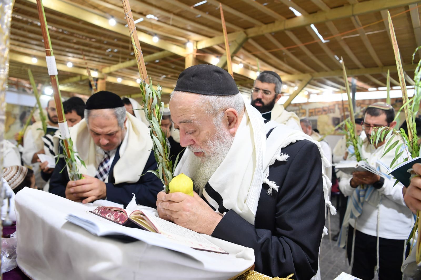 הושענא רבה אצל הגאון רבי שלמה עמאר • תיעוד