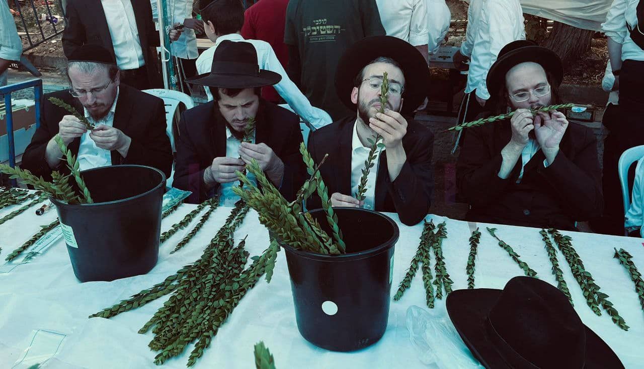 גלריה מרהיבה: אווירת החג ברחובות ירושלים