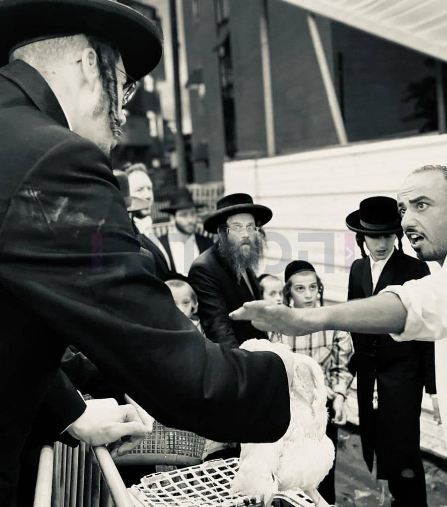 גלריה מרהיבה: אווירת החג ברחובות ירושלים