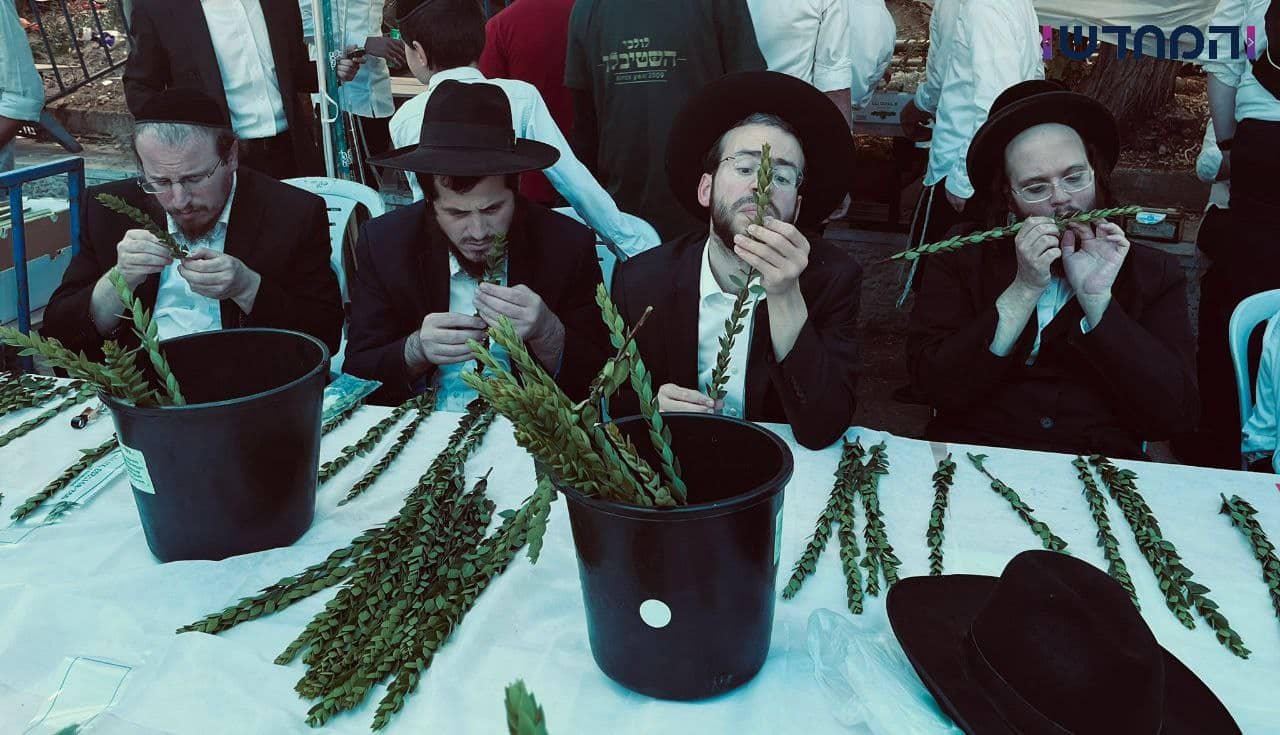 גלריה מרהיבה: אווירת החג ברחובות ירושלים