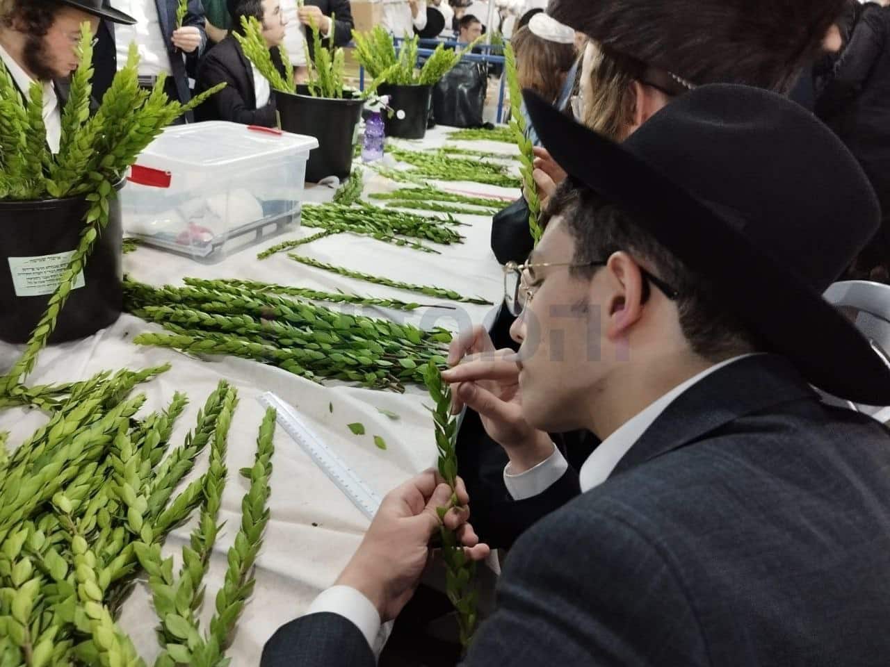 גלריה מרהיבה: אווירת החג ברחובות ירושלים