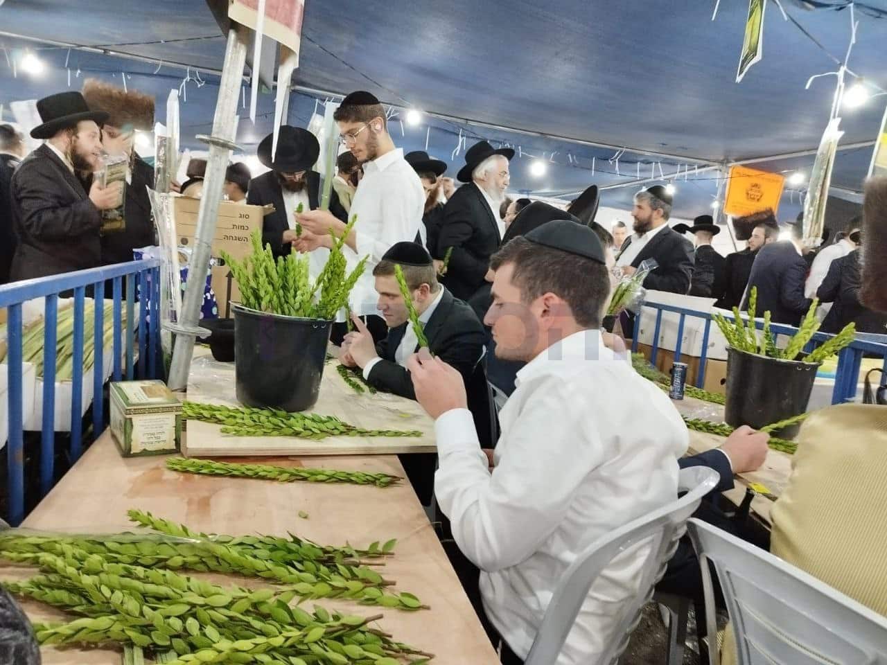 גלריה מרהיבה: אווירת החג ברחובות ירושלים