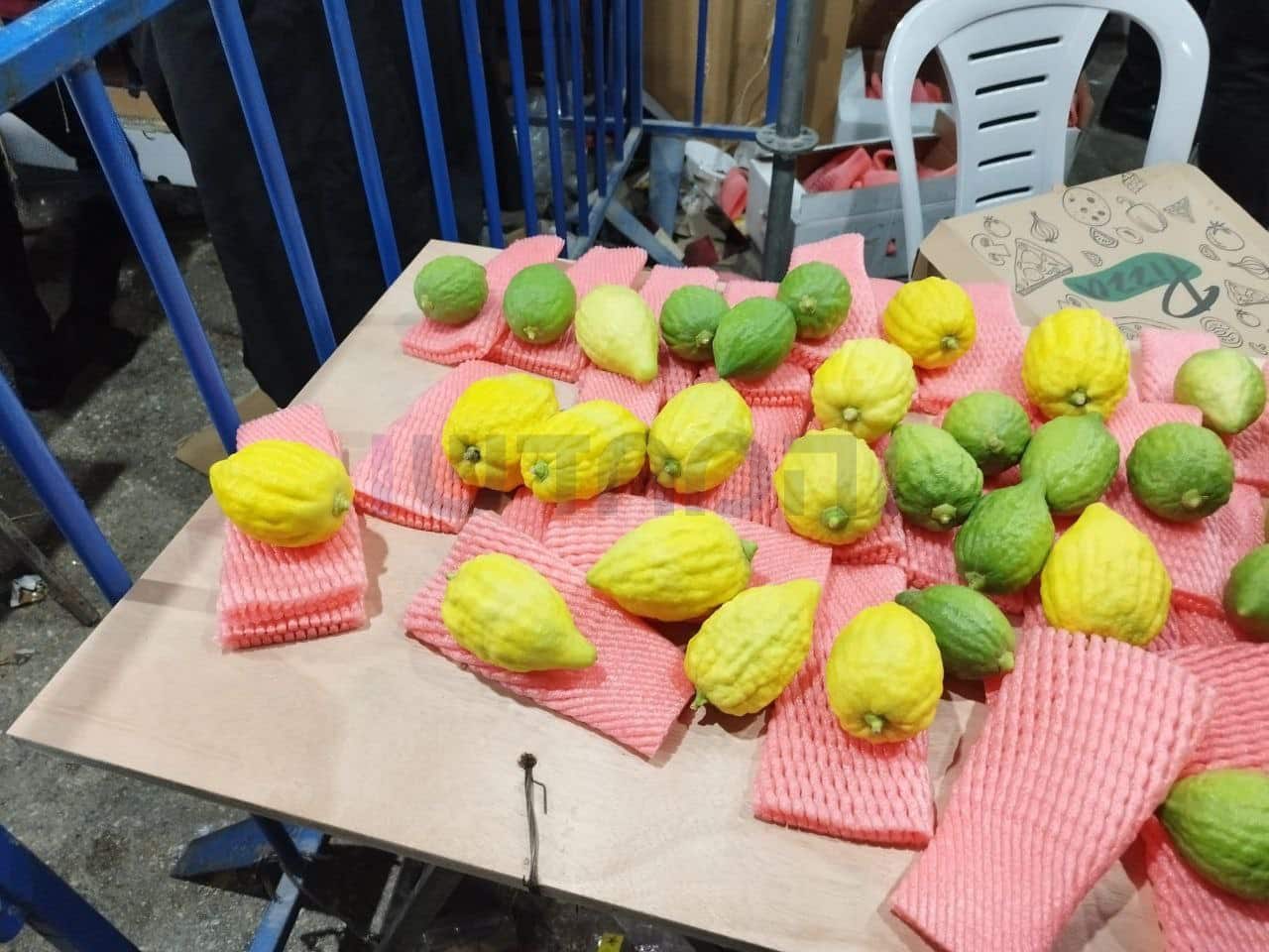 גלריה מרהיבה: אווירת החג ברחובות ירושלים