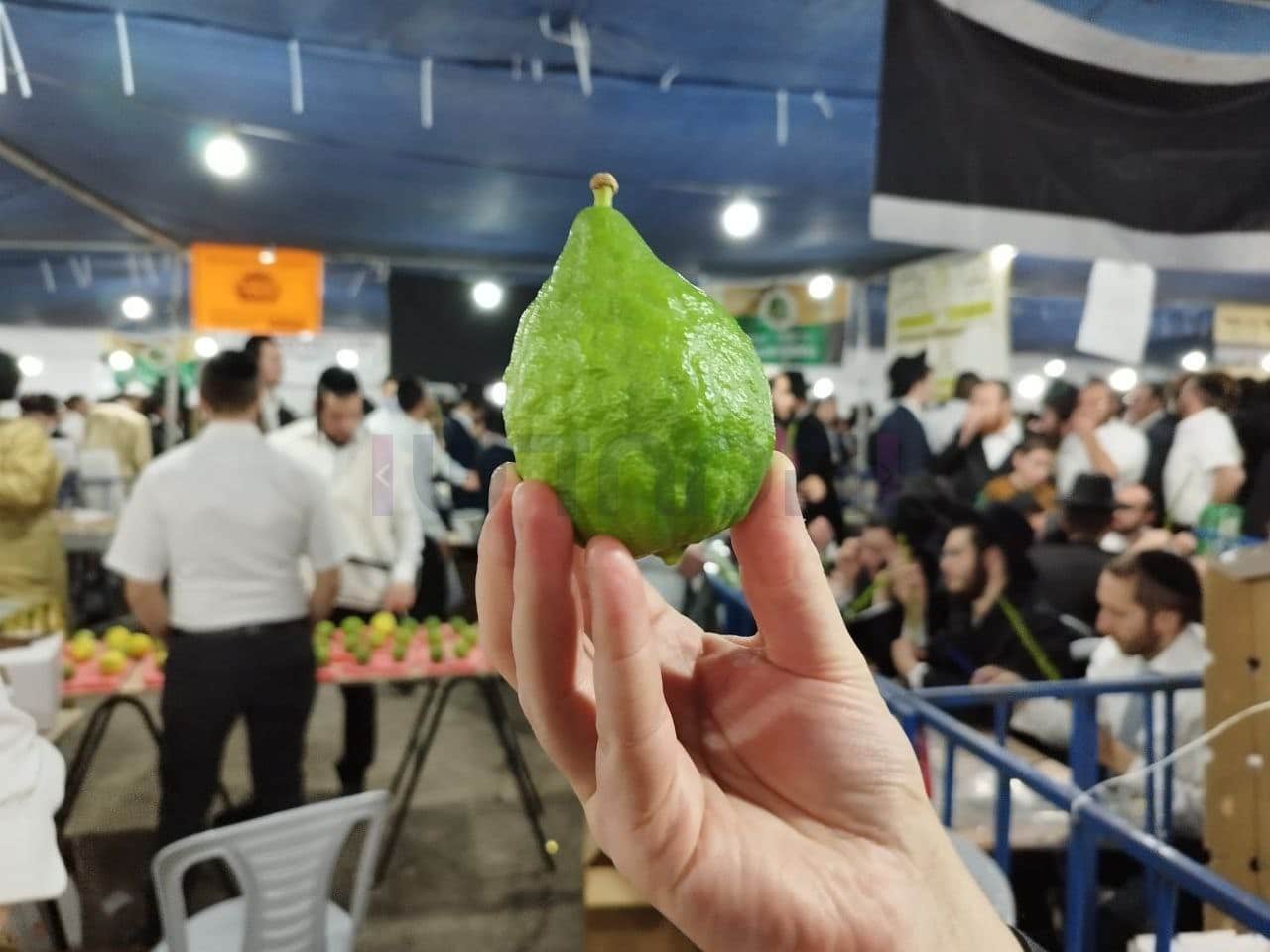 גלריה מרהיבה: אווירת החג ברחובות ירושלים