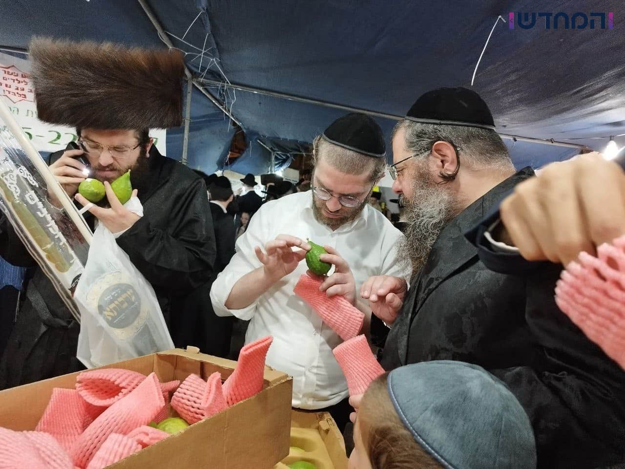 גלריה מרהיבה: אווירת החג ברחובות ירושלים