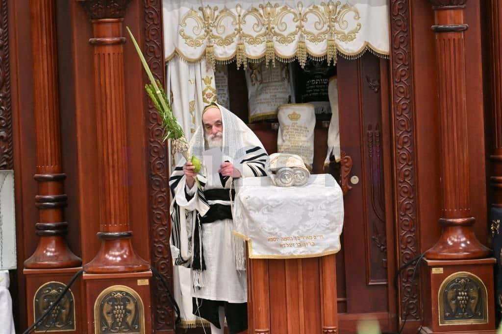 חג הסוכות בחצר הקודש ויזניץ • צפו בגלריה: