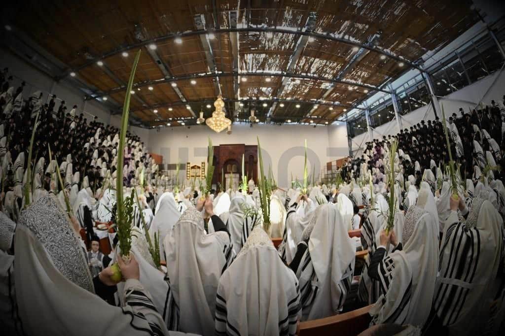 חג הסוכות בחצר הקודש ויזניץ • צפו בגלריה: