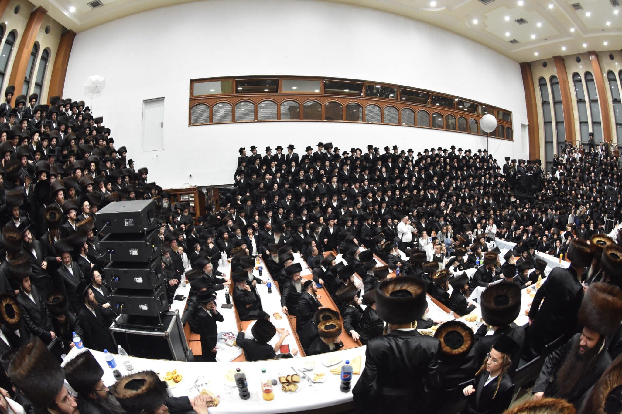 שמחת החתונה בחצרות אשלג ביאלא קומרנא