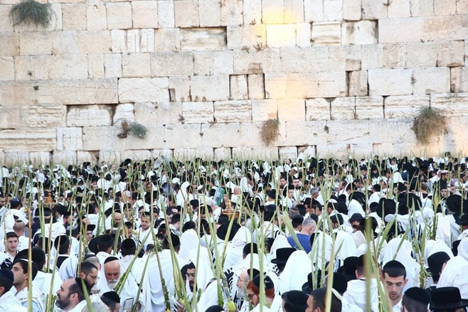 צפו: הושענא רבה בכותל המערבי