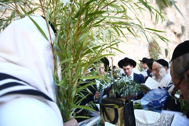 צפו: הושענא רבה בכותל המערבי