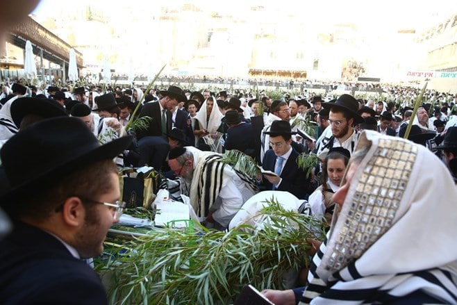 צפו: הושענא רבה בכותל המערבי