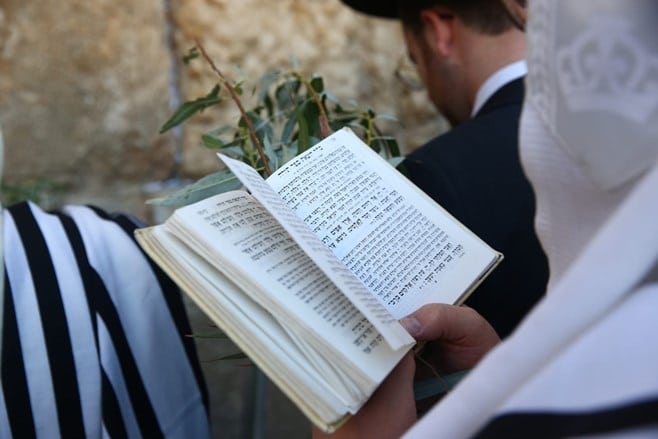 צפו: הושענא רבה בכותל המערבי