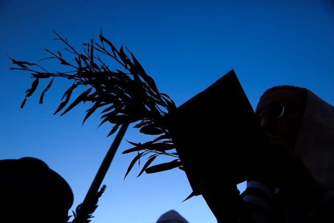 צפו: הושענא רבה בכותל המערבי