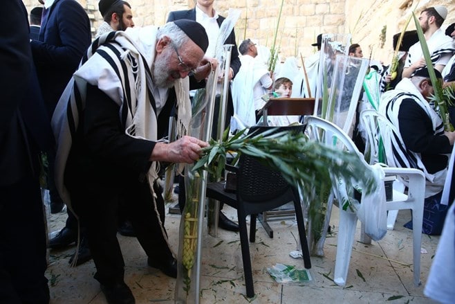 צפו: הושענא רבה בכותל המערבי