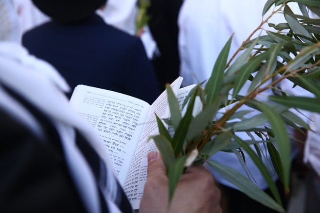 צפו: הושענא רבה בכותל המערבי