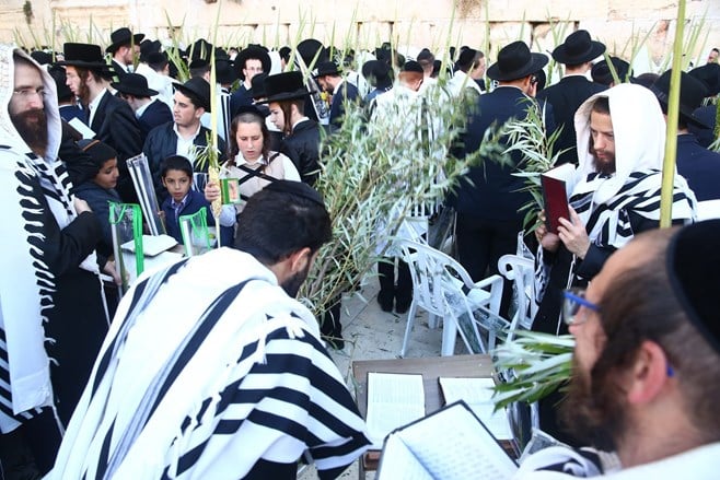 צפו: הושענא רבה בכותל המערבי