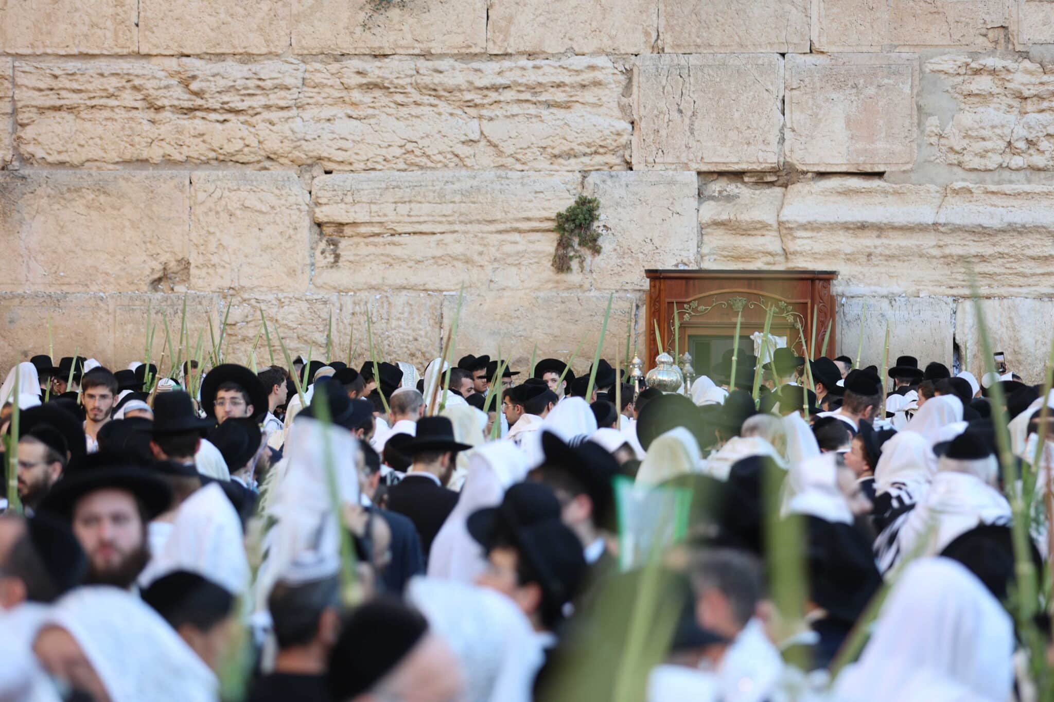 המוני בית ישראל בכותל המערבי • צפו בגלריה