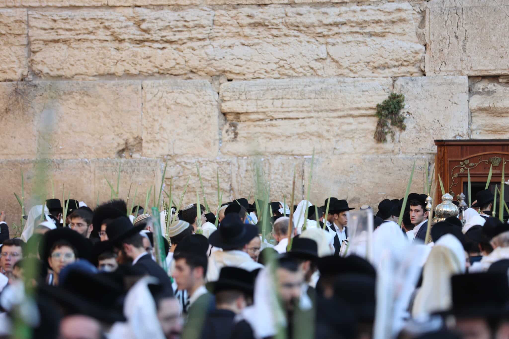 המוני בית ישראל בכותל המערבי • צפו בגלריה