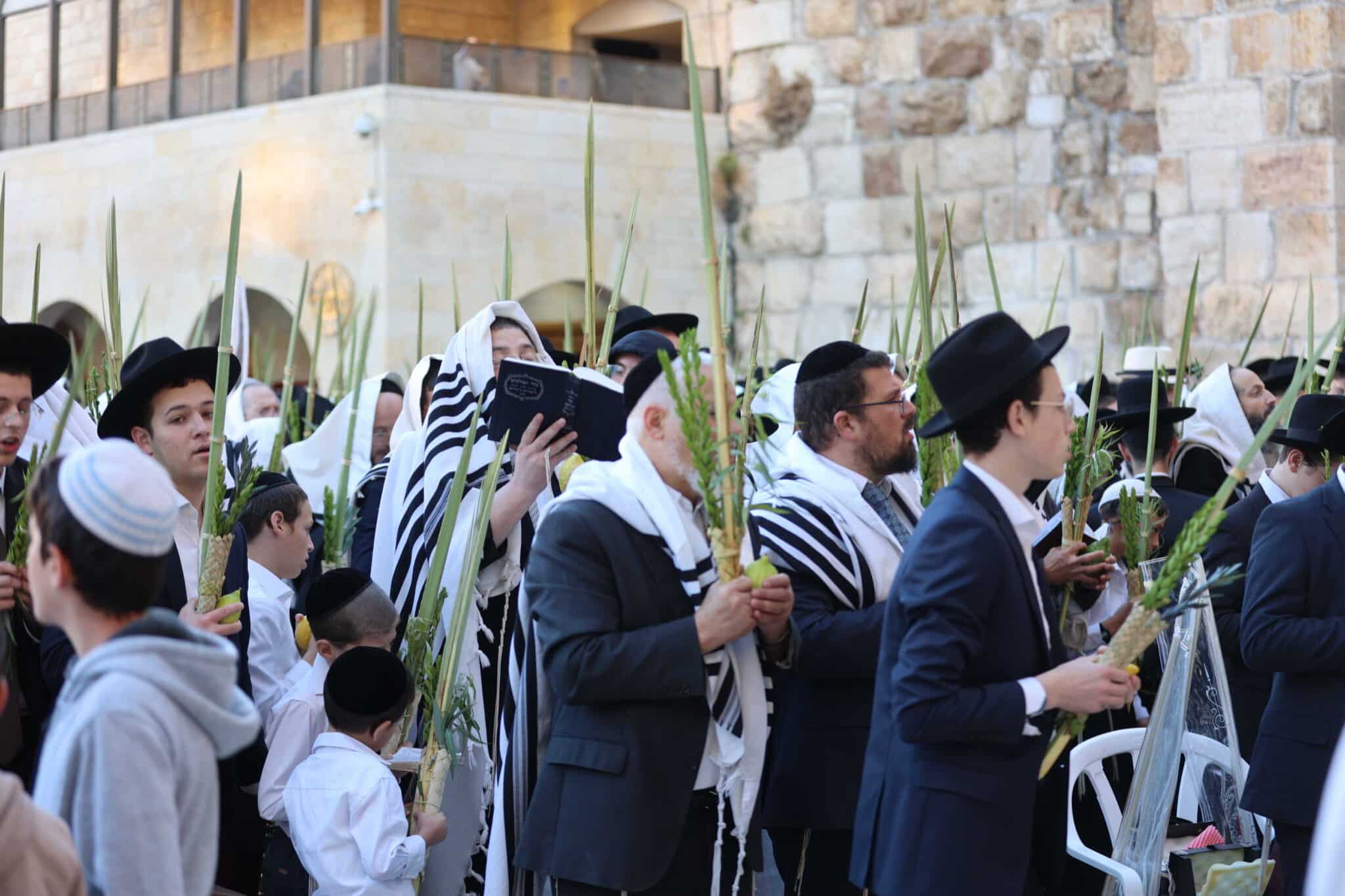 המוני בית ישראל בכותל המערבי • צפו בגלריה