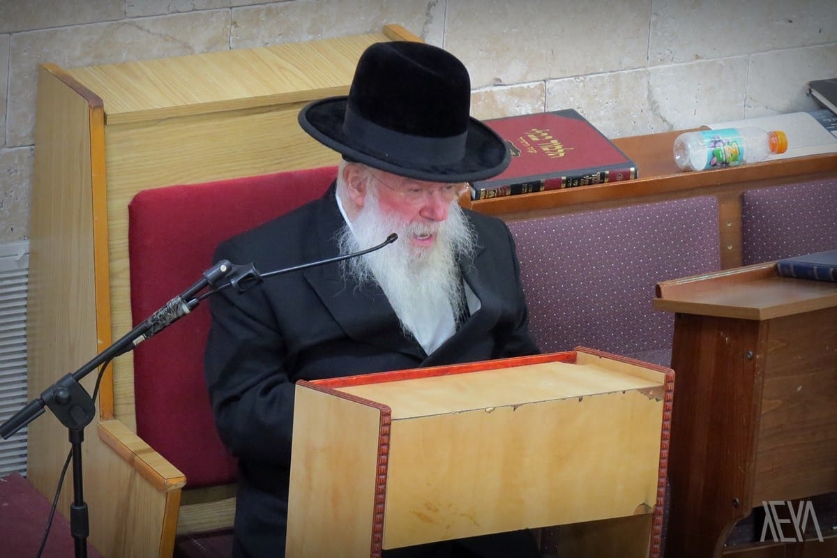 שְׁנוֹת חַיִּים • גלריה מיוחדת מחייו של המשגיח הגר"ח וואלקין זצ"ל