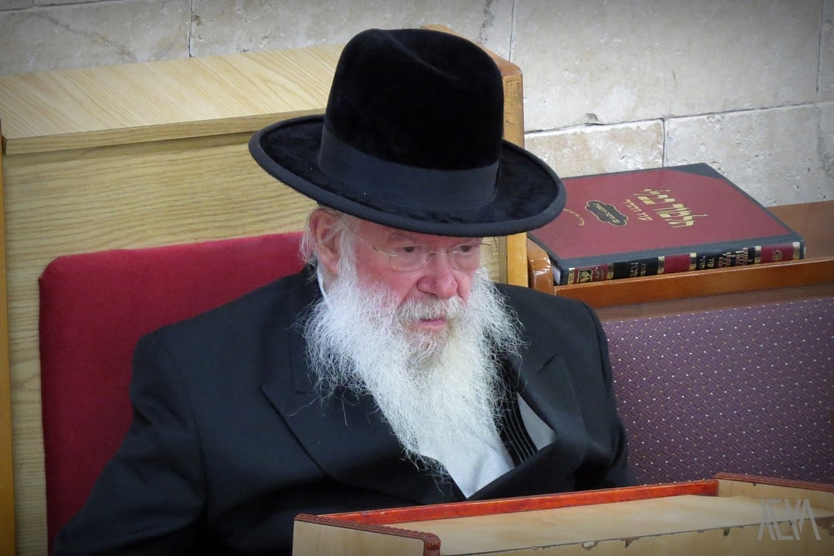 שְׁנוֹת חַיִּים • גלריה מיוחדת מחייו של המשגיח הגר"ח וואלקין זצ"ל