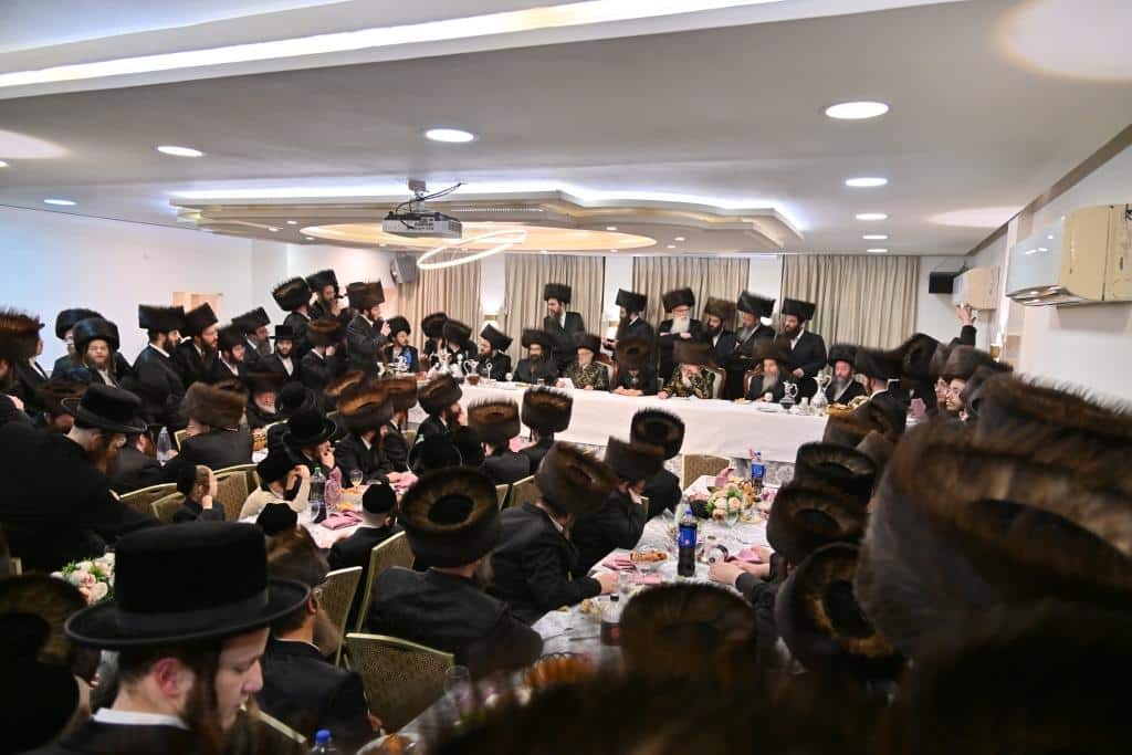 בגלריה אחת: כל השבע ברכות בויז'ניץ