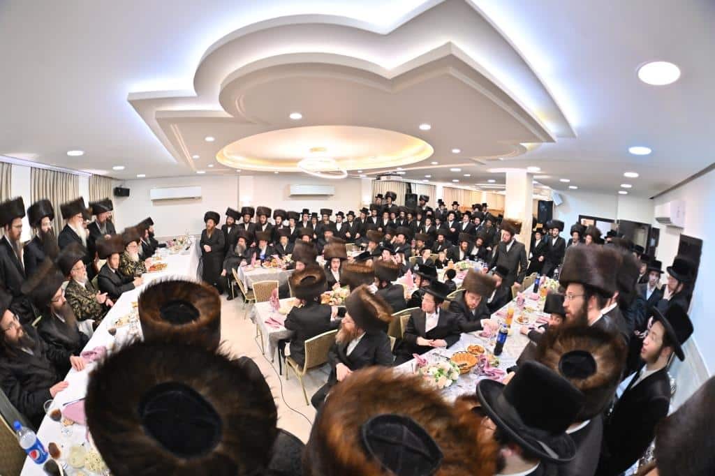 בגלריה אחת: כל השבע ברכות בויז'ניץ