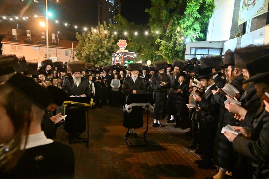 בגלריה אחת: כל השבע ברכות בויז'ניץ