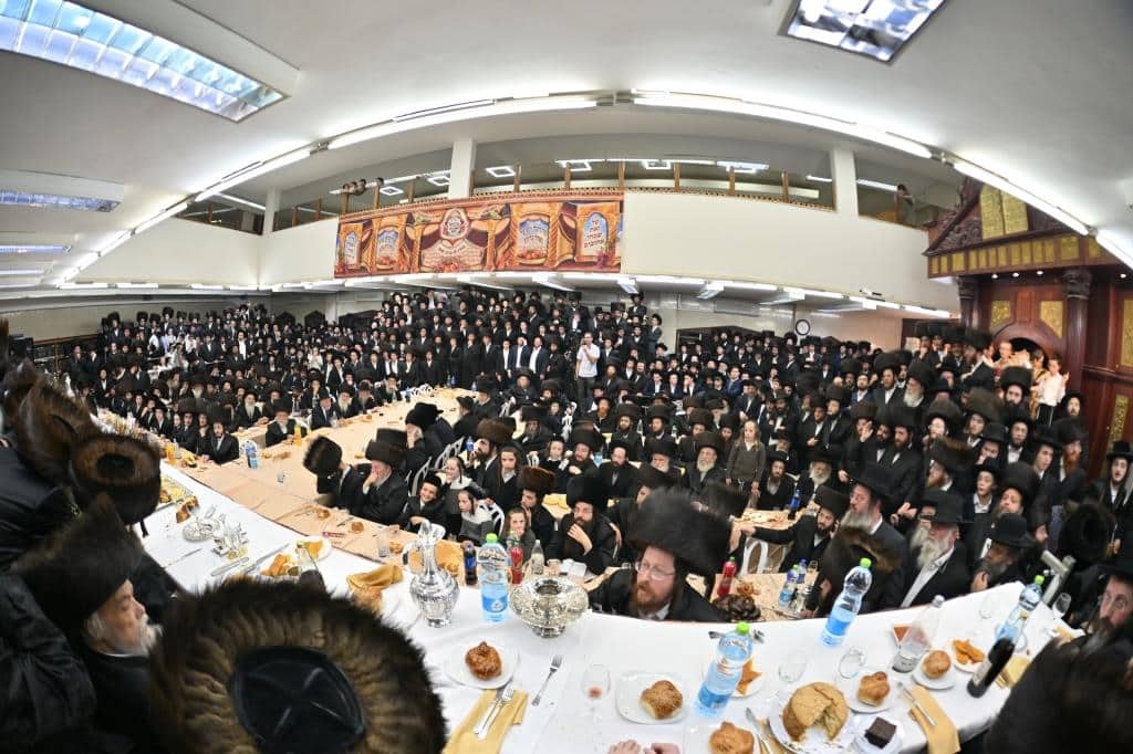 בגלריה אחת: כל השבע ברכות בויז'ניץ