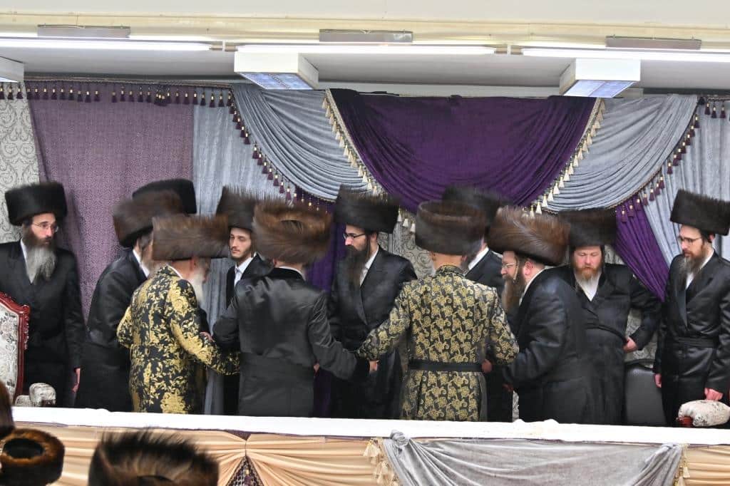 בגלריה אחת: כל השבע ברכות בויז'ניץ