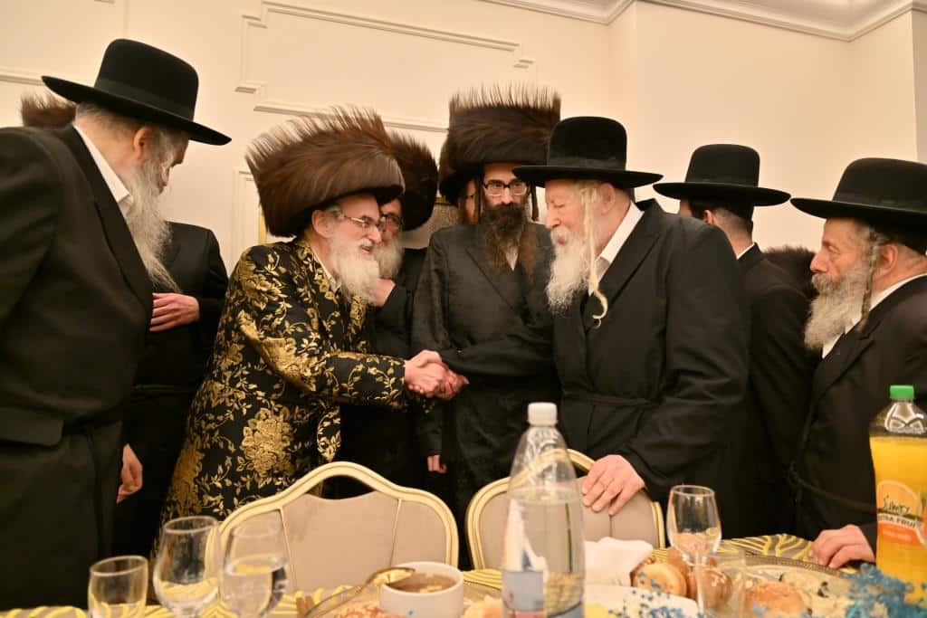 בגלריה אחת: כל השבע ברכות בויז'ניץ