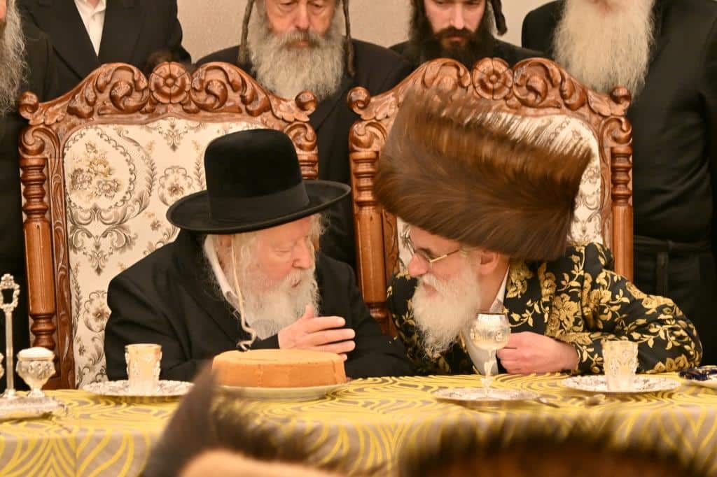 בגלריה אחת: כל השבע ברכות בויז'ניץ