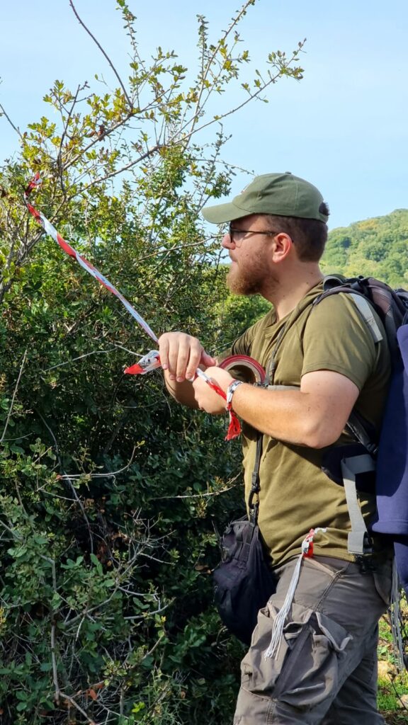 על רקע השמועות: החיפושים אחר מושי התחדשו