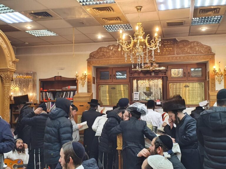 למרות ההפגזות: אלפי חסידי ברסלב הגיעו לאומן