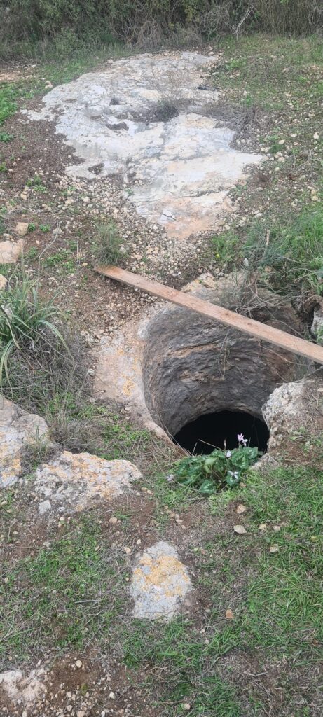 בית שמש: נער חולץ לאחר שנלכד בתוך בור בגובה 5 מטר