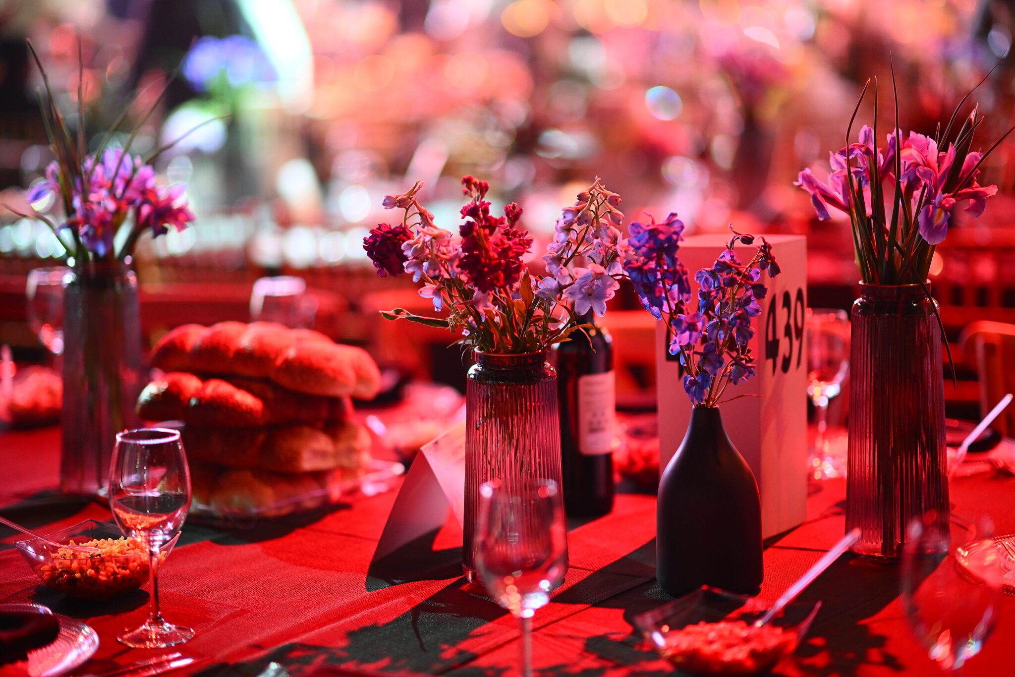 גלריה מרהיבה מהילולת הענק של 'כסא רחמים'