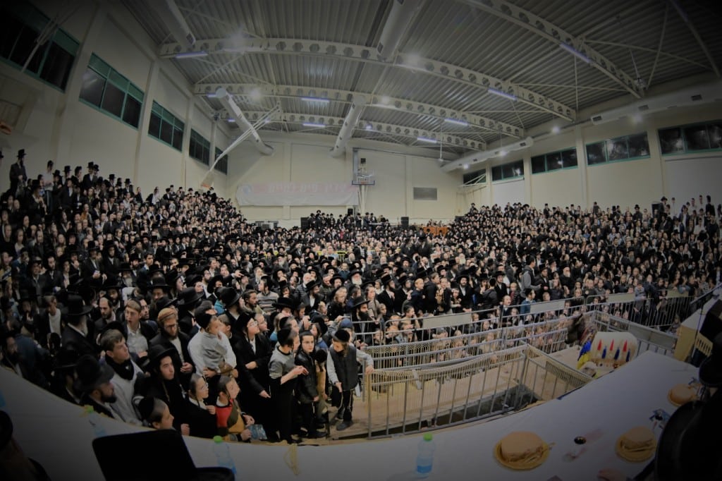 הרבי פרץ בבכי: מעמד פדיון פטר חמור במעליץ