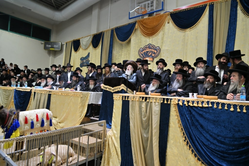 הרבי פרץ בבכי: מעמד פדיון פטר חמור במעליץ