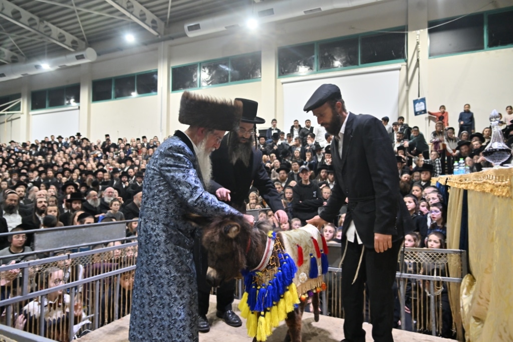 הרבי פרץ בבכי: מעמד פדיון פטר חמור במעליץ
